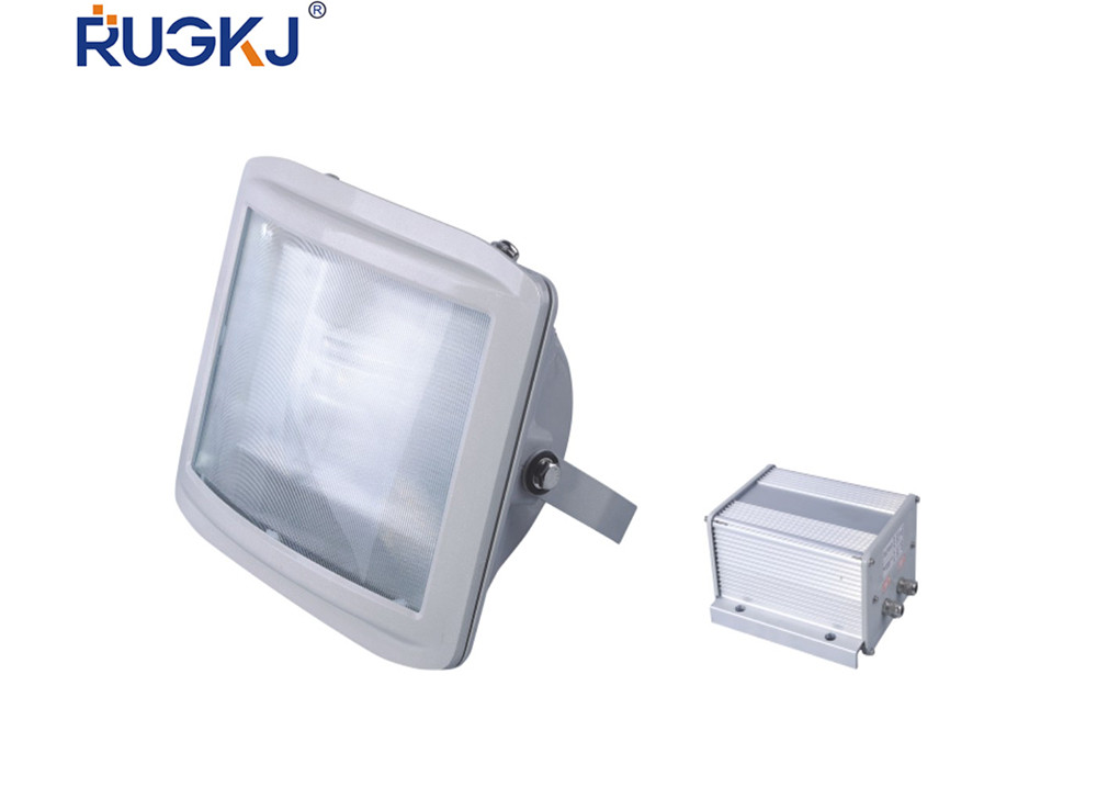 RGFE9720 anti-glare emergency street lamp