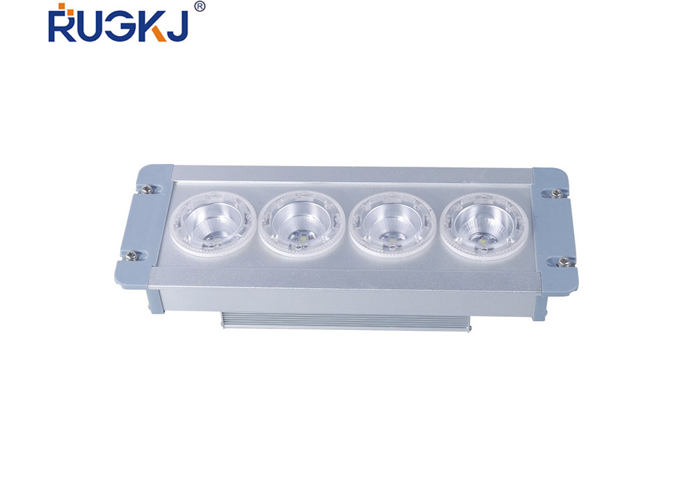 RGFE9121 emergency overhead light